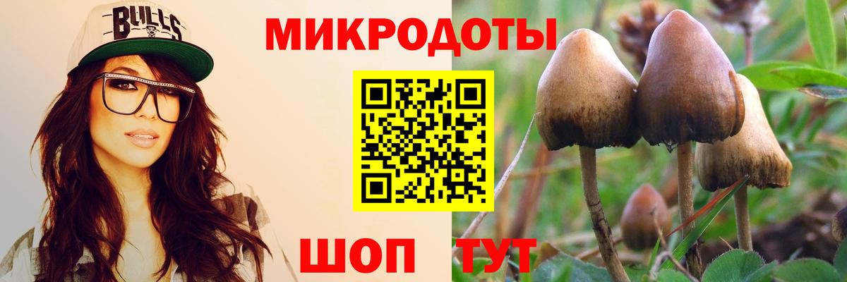 Галлюциногенные грибы мицелий  Псилоцибиновые грибы ЛСД  Славгород  Вход с VPN 